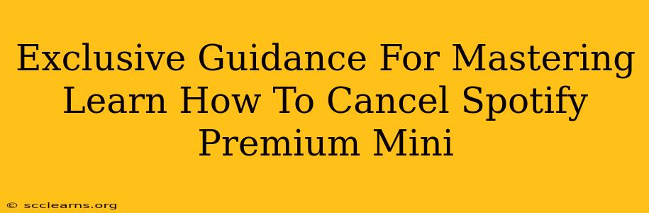 Exclusive Guidance For Mastering Learn How To Cancel Spotify Premium Mini