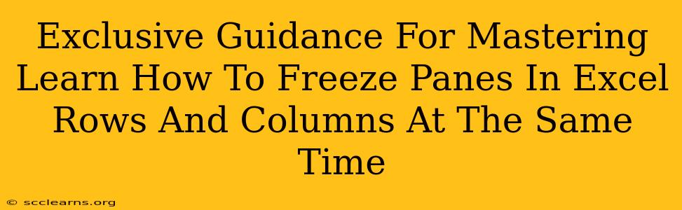 Exclusive Guidance For Mastering Learn How To Freeze Panes In Excel Rows And Columns At The Same Time