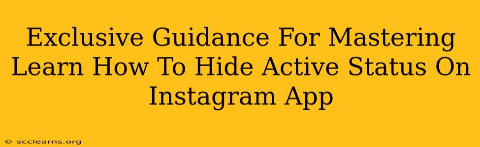 Exclusive Guidance For Mastering Learn How To Hide Active Status On Instagram App