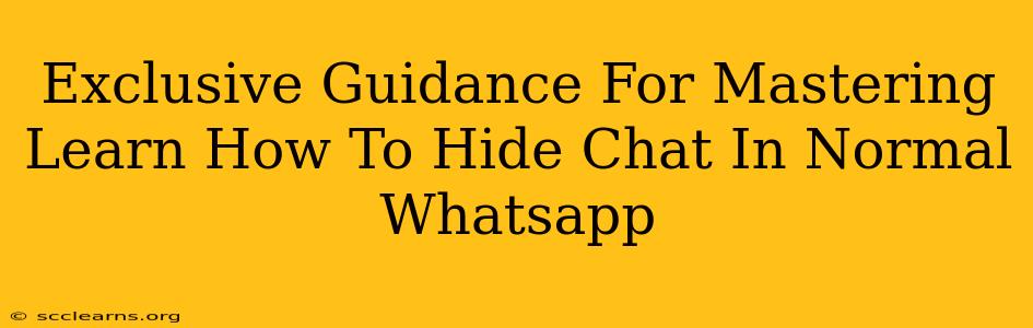 Exclusive Guidance For Mastering Learn How To Hide Chat In Normal Whatsapp