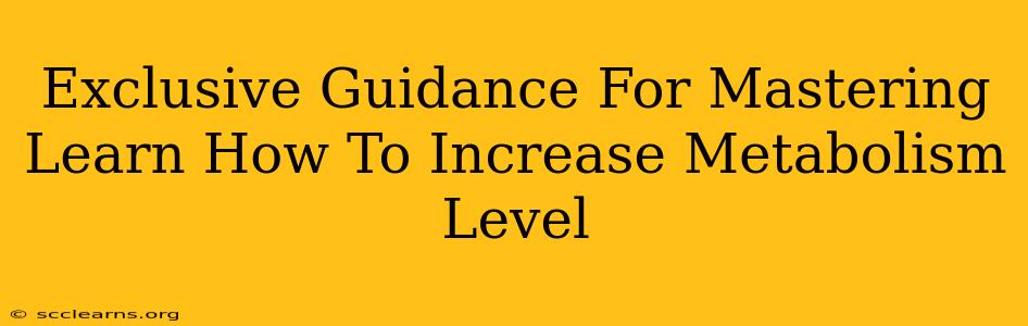 Exclusive Guidance For Mastering Learn How To Increase Metabolism Level