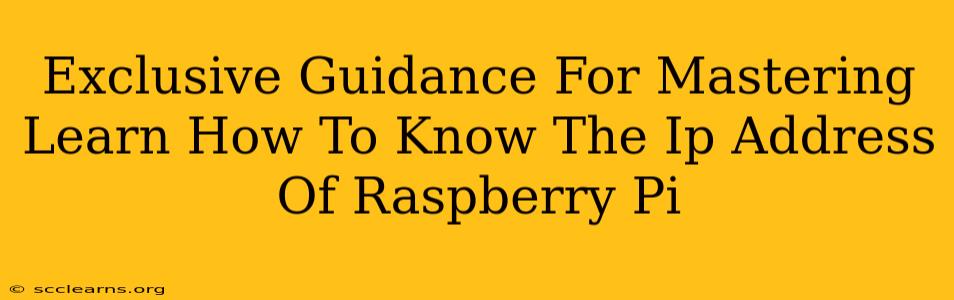 Exclusive Guidance For Mastering Learn How To Know The Ip Address Of Raspberry Pi