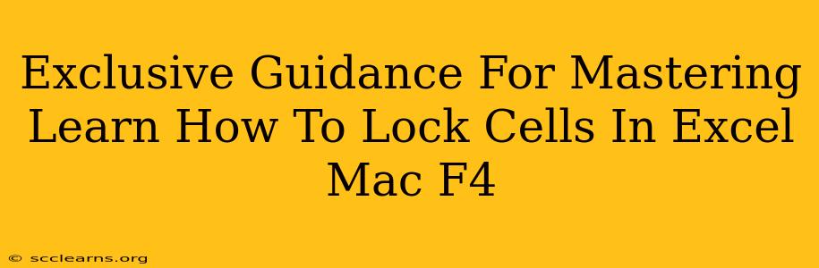 Exclusive Guidance For Mastering Learn How To Lock Cells In Excel Mac F4