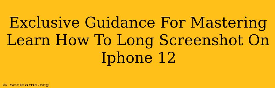 Exclusive Guidance For Mastering Learn How To Long Screenshot On Iphone 12