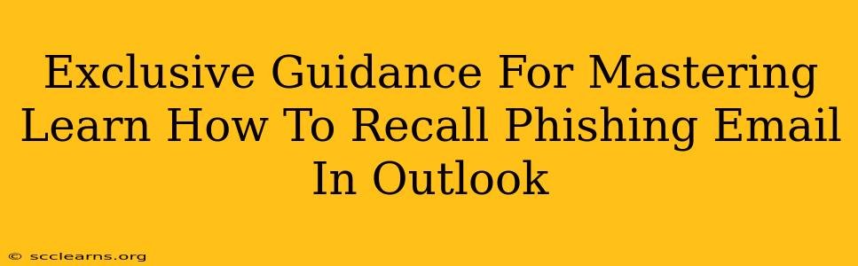 Exclusive Guidance For Mastering Learn How To Recall Phishing Email In Outlook