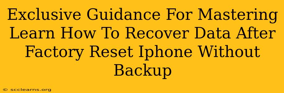 Exclusive Guidance For Mastering Learn How To Recover Data After Factory Reset Iphone Without Backup