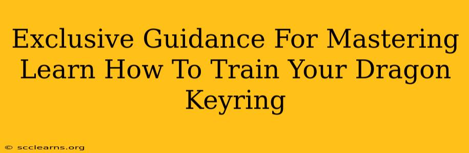 Exclusive Guidance For Mastering Learn How To Train Your Dragon Keyring