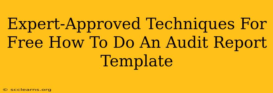 Expert-Approved Techniques For Free How To Do An Audit Report Template