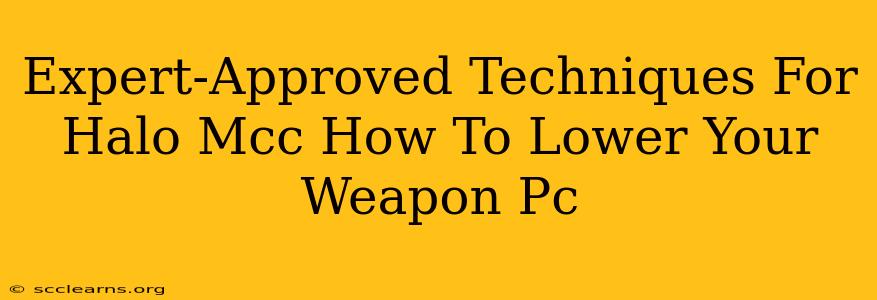 Expert-Approved Techniques For Halo Mcc How To Lower Your Weapon Pc