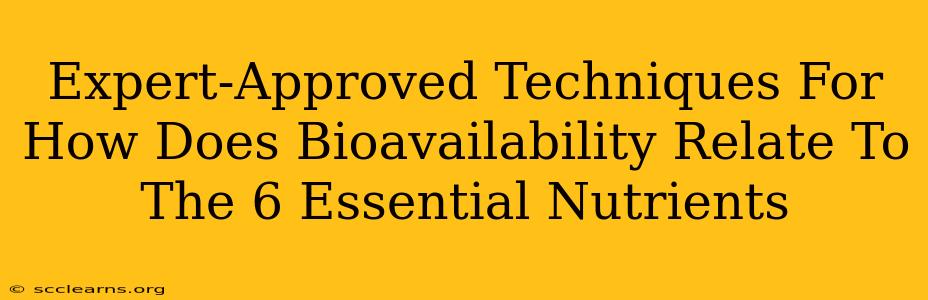 Expert-Approved Techniques For How Does Bioavailability Relate To The 6 Essential Nutrients