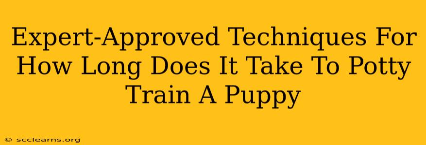 Expert-Approved Techniques For How Long Does It Take To Potty Train A Puppy