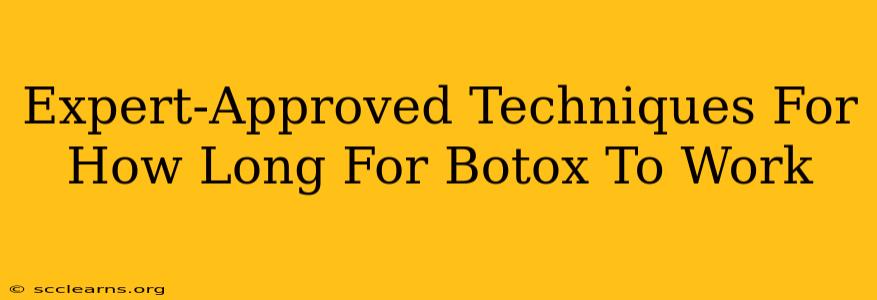 Expert-Approved Techniques For How Long For Botox To Work