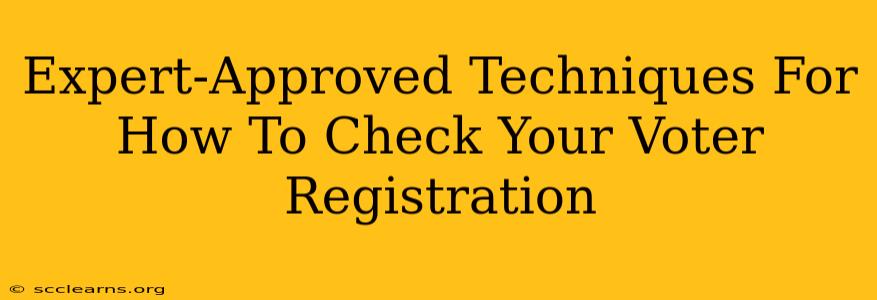 Expert-Approved Techniques For How To Check Your Voter Registration