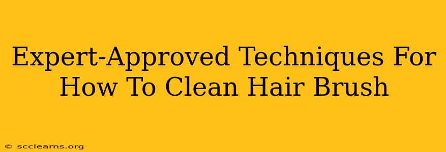 Expert-Approved Techniques For How To Clean Hair Brush