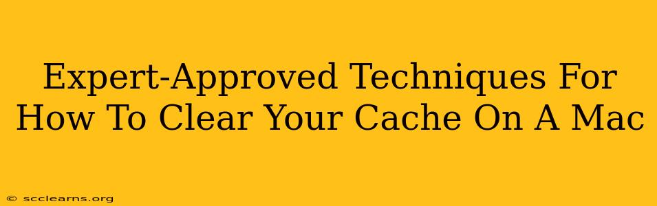 Expert-Approved Techniques For How To Clear Your Cache On A Mac