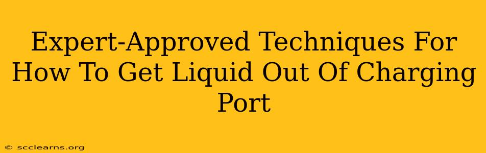 Expert-Approved Techniques For How To Get Liquid Out Of Charging Port