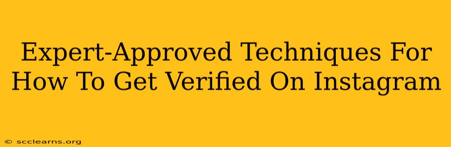 Expert-Approved Techniques For How To Get Verified On Instagram