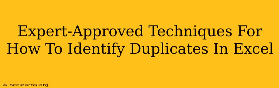 Expert-Approved Techniques For How To Identify Duplicates In Excel