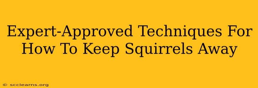 Expert-Approved Techniques For How To Keep Squirrels Away