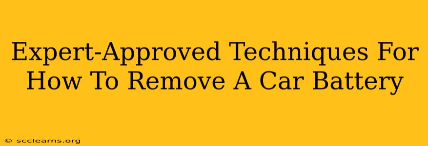 Expert-Approved Techniques For How To Remove A Car Battery