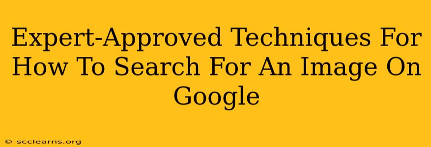 Expert-Approved Techniques For How To Search For An Image On Google