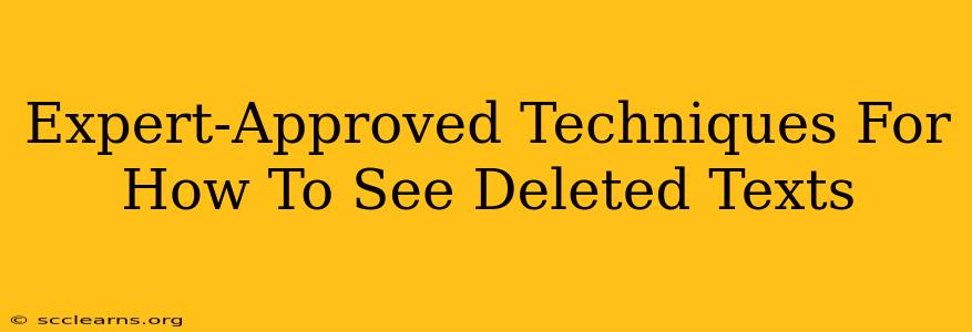 Expert-Approved Techniques For How To See Deleted Texts