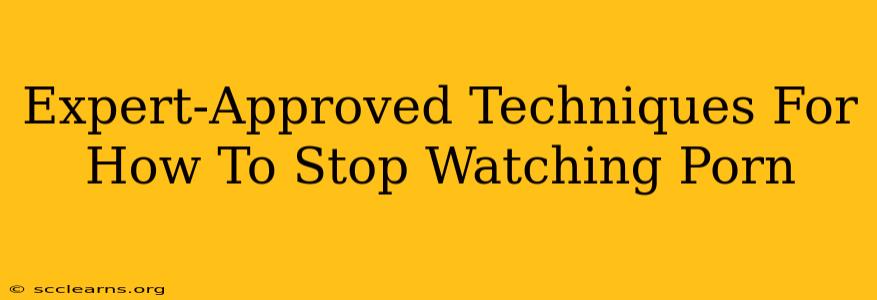 Expert-Approved Techniques For How To Stop Watching Porn