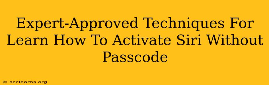 Expert-Approved Techniques For Learn How To Activate Siri Without Passcode