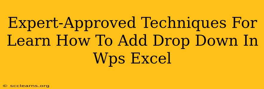 Expert-Approved Techniques For Learn How To Add Drop Down In Wps Excel