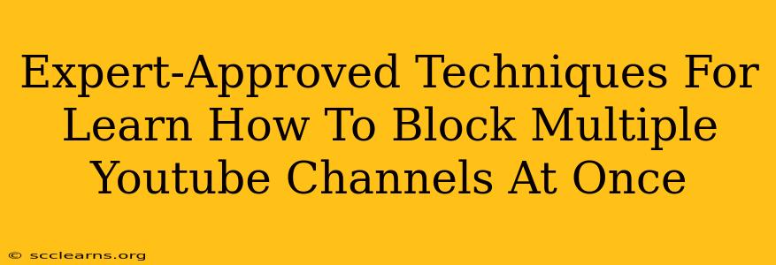 Expert-Approved Techniques For Learn How To Block Multiple Youtube Channels At Once