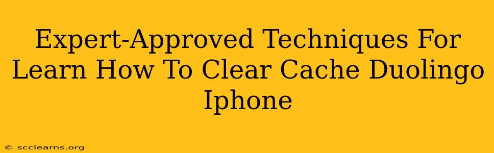 Expert-Approved Techniques For Learn How To Clear Cache Duolingo Iphone