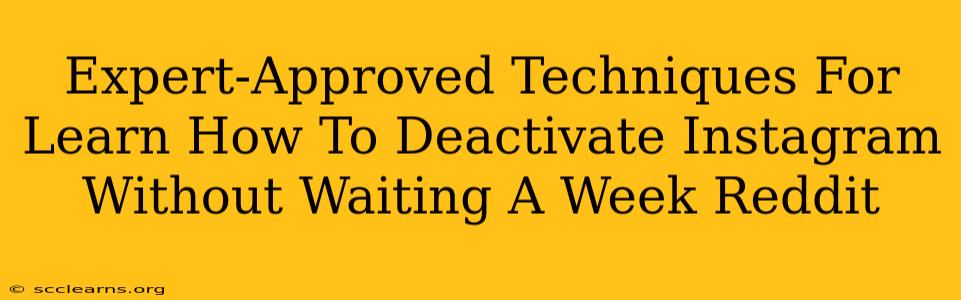 Expert-Approved Techniques For Learn How To Deactivate Instagram Without Waiting A Week Reddit