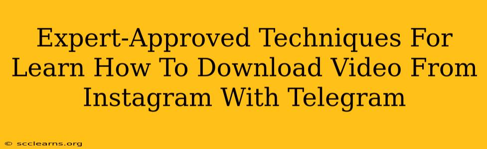 Expert-Approved Techniques For Learn How To Download Video From Instagram With Telegram