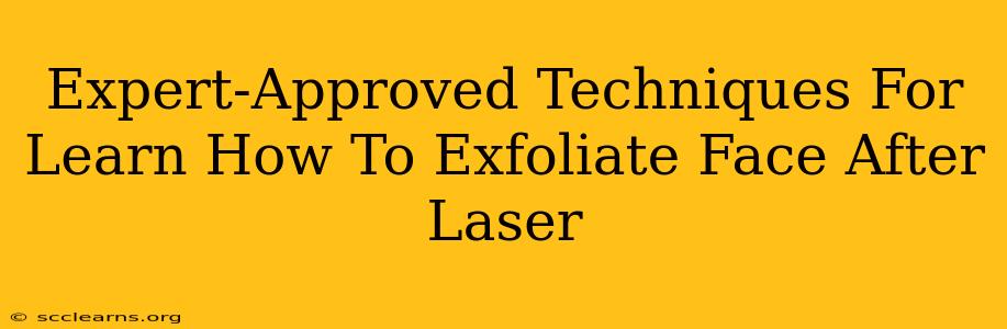 Expert-Approved Techniques For Learn How To Exfoliate Face After Laser