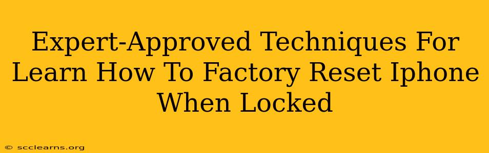 Expert-Approved Techniques For Learn How To Factory Reset Iphone When Locked