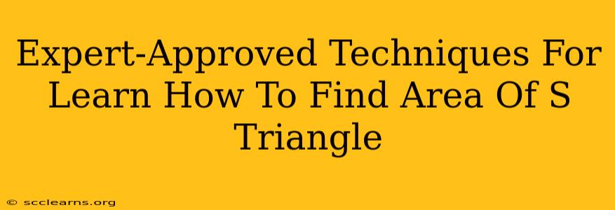 Expert-Approved Techniques For Learn How To Find Area Of S Triangle