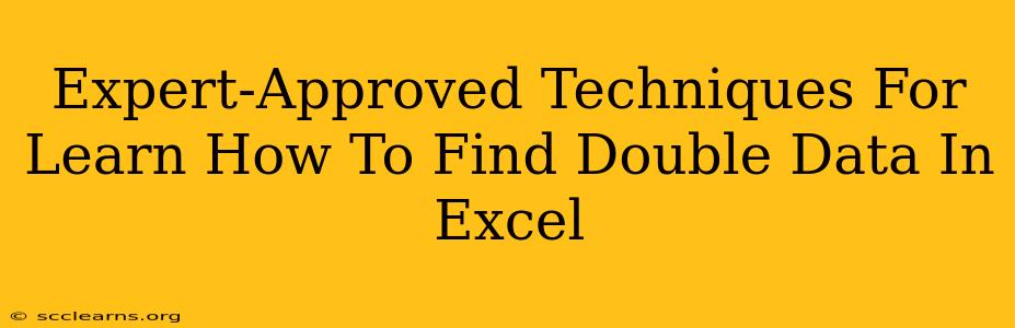 Expert-Approved Techniques For Learn How To Find Double Data In Excel