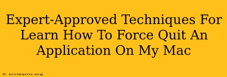 Expert-Approved Techniques For Learn How To Force Quit An Application On My Mac