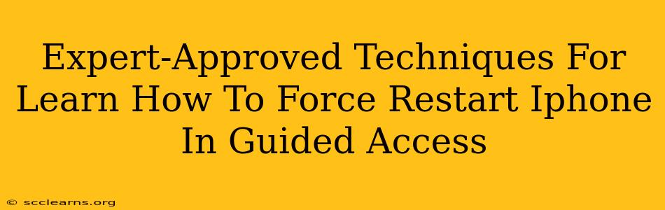 Expert-Approved Techniques For Learn How To Force Restart Iphone In Guided Access