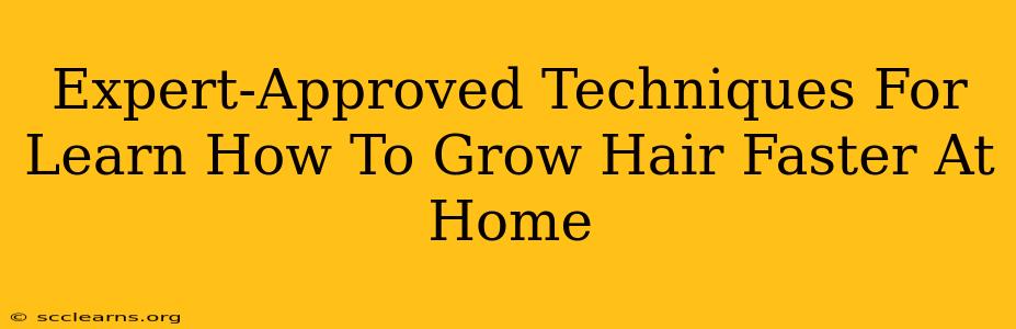 Expert-Approved Techniques For Learn How To Grow Hair Faster At Home