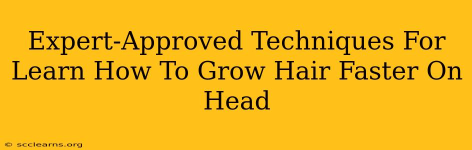 Expert-Approved Techniques For Learn How To Grow Hair Faster On Head