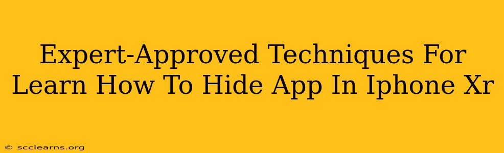 Expert-Approved Techniques For Learn How To Hide App In Iphone Xr