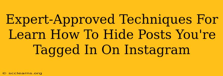 Expert-Approved Techniques For Learn How To Hide Posts You're Tagged In On Instagram