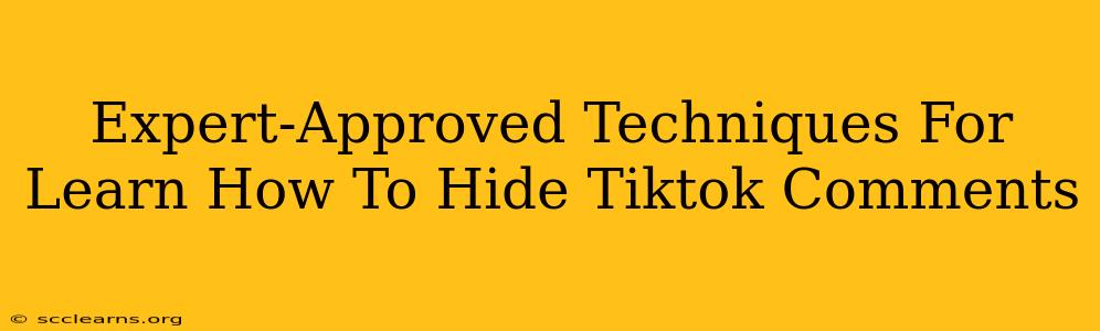 Expert-Approved Techniques For Learn How To Hide Tiktok Comments