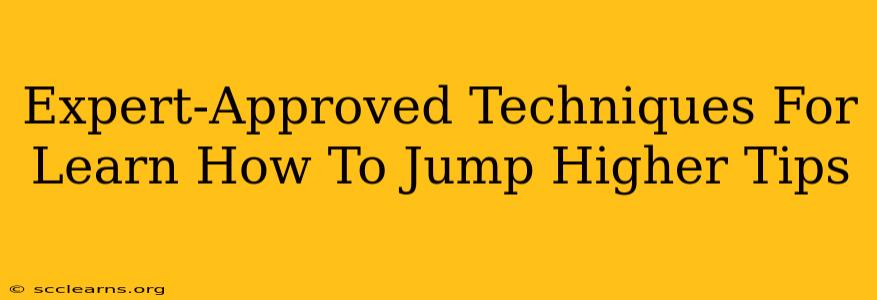 Expert-Approved Techniques For Learn How To Jump Higher Tips