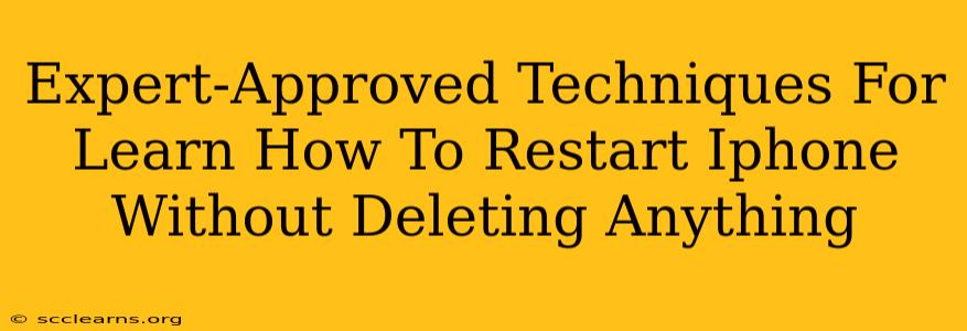 Expert-Approved Techniques For Learn How To Restart Iphone Without Deleting Anything