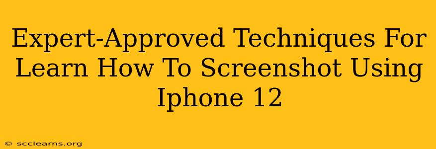 Expert-Approved Techniques For Learn How To Screenshot Using Iphone 12