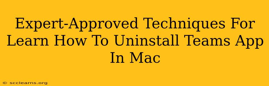 Expert-Approved Techniques For Learn How To Uninstall Teams App In Mac