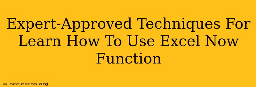 Expert-Approved Techniques For Learn How To Use Excel Now Function