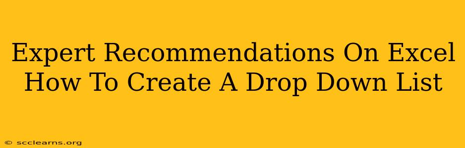 Expert Recommendations On Excel How To Create A Drop Down List